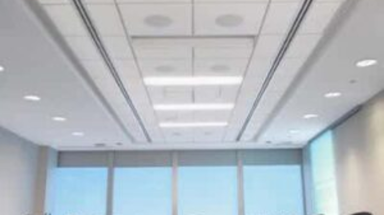 What Are Acoustic Ceilings?