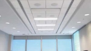 What Are Acoustic Ceilings?