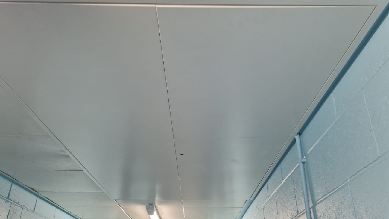 Suspended ceiling access panels