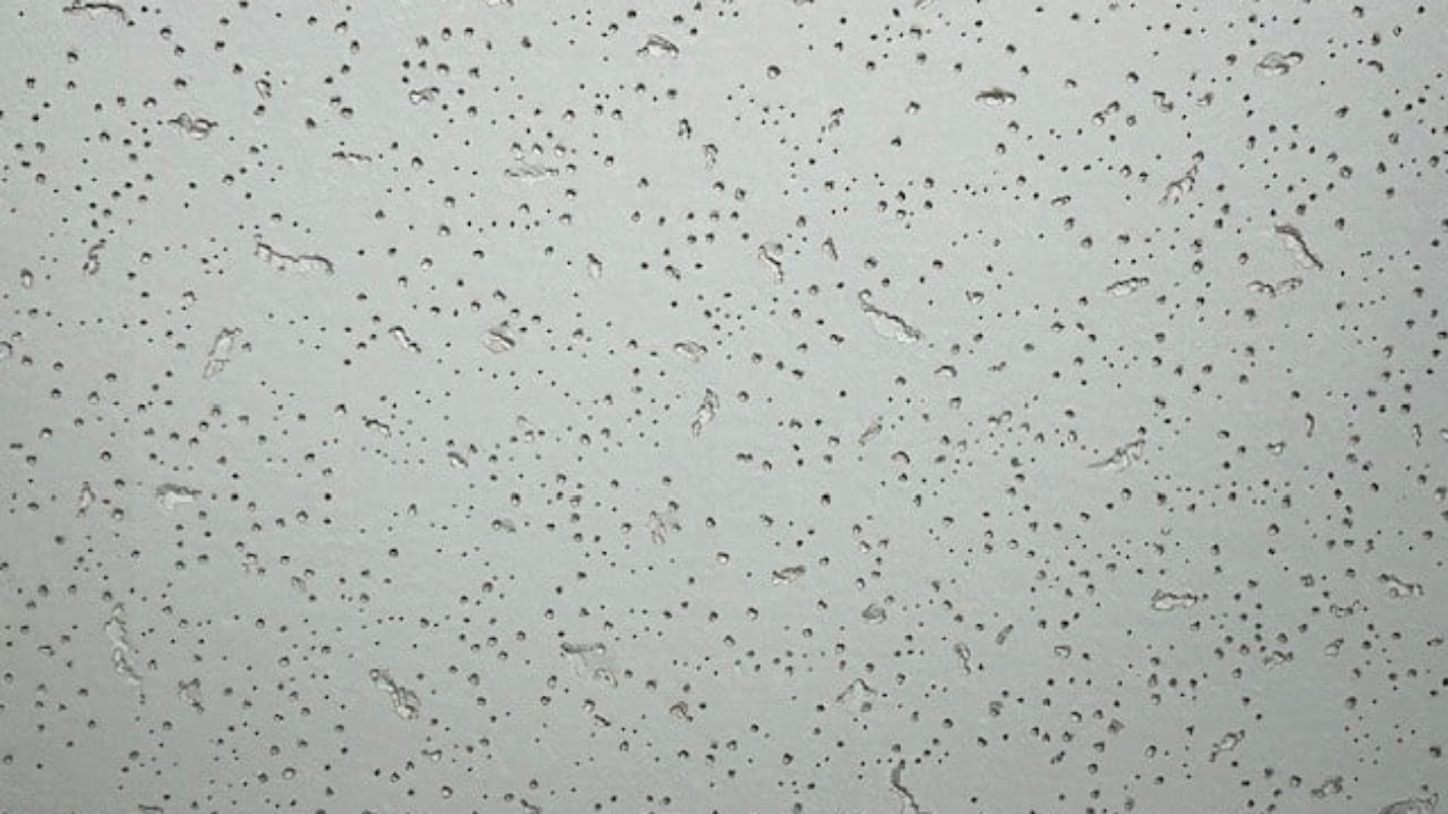 Acoustic Ceiling Tiles