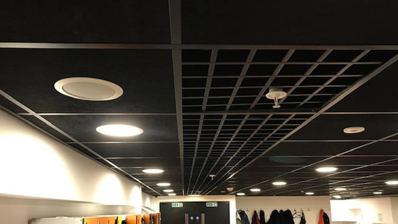 Commercial Ceiling Tiles